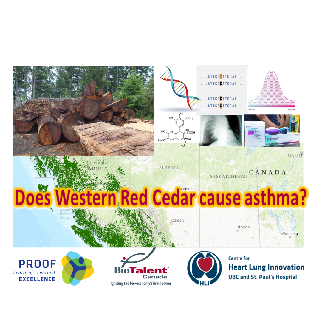 Scientist, Translational Research in Occupational Asthma